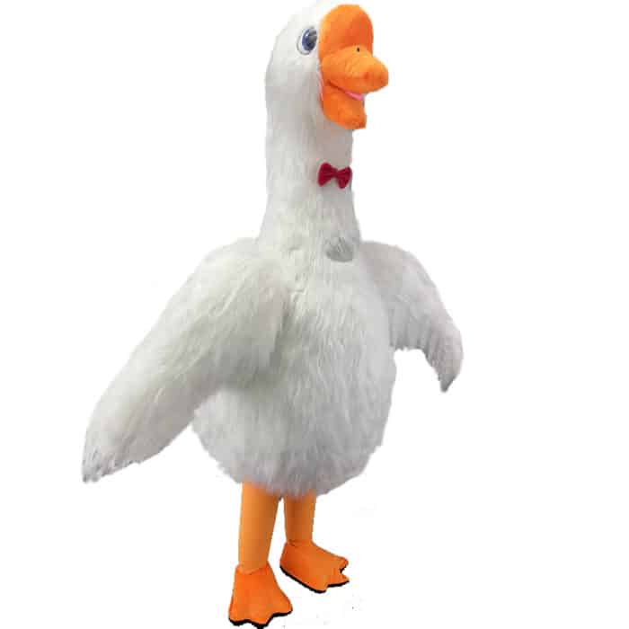 S20706333a30b48ef80f58acae059641fC