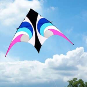 Cerf-volant delta acrobatique