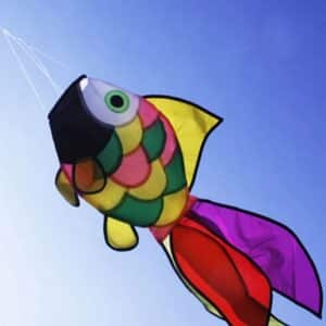 Cerf-volant poisson arc-en-ciel