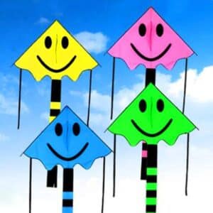 Cerf-volant delta smiley