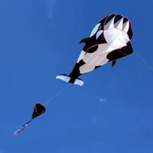 Cerf-volant baleine