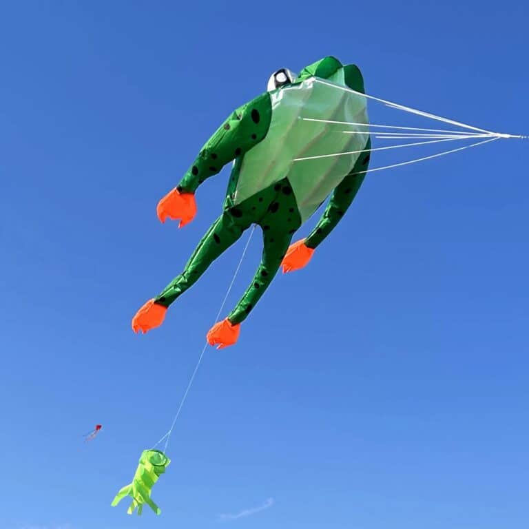 main-image-2