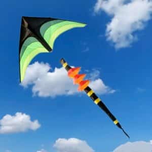Cerf-volant delta vert avec queue