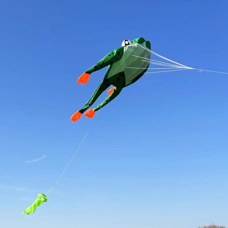 main-image-3