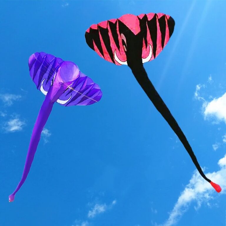 main-image-3