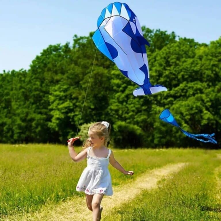 main-image-4