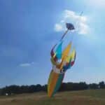 main-image-5