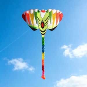 Cerf-volant raie manta