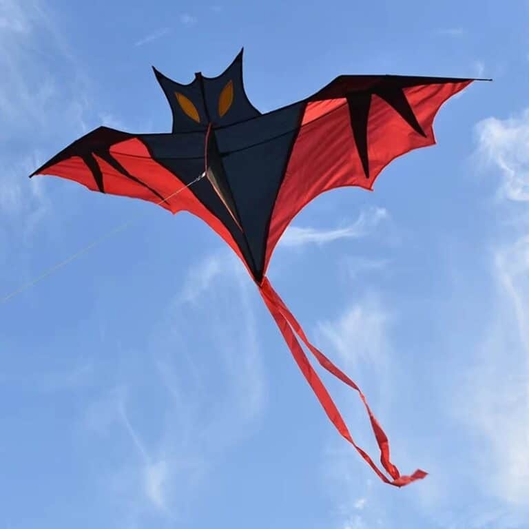 main-image-5