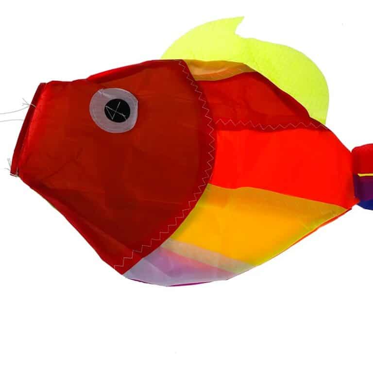 main-image-6