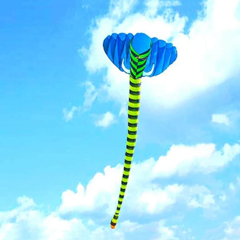 main-image-6
