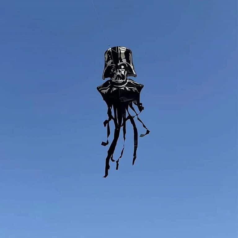 main-image-6