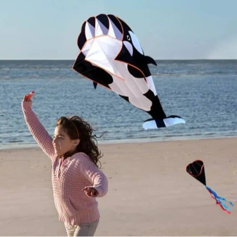 main-image-6