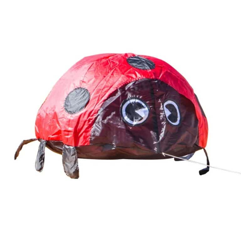 main-image-6