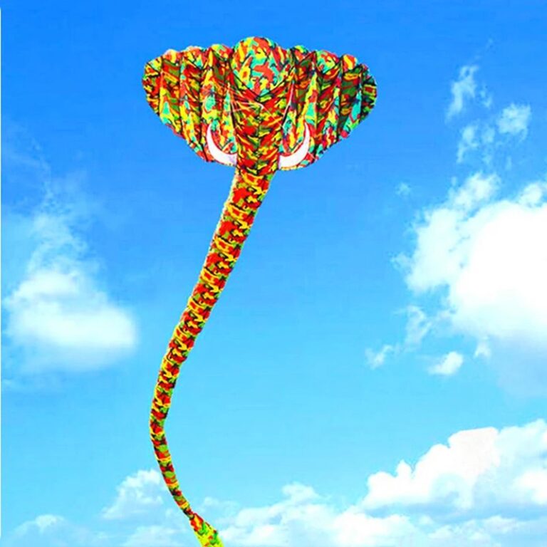 main-image-7