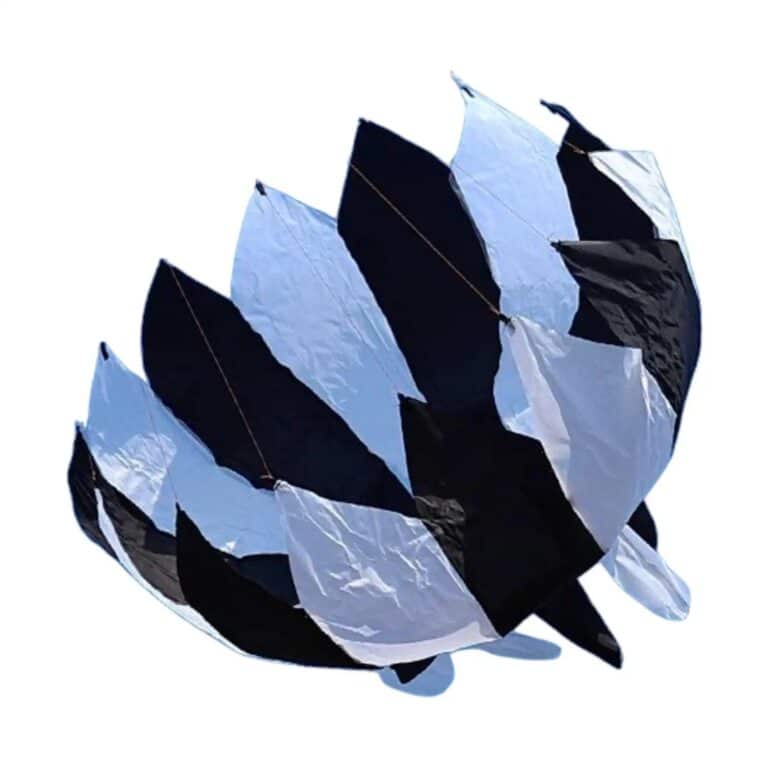 main-image-7