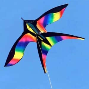 Cerf-volant oiseau multicolore
