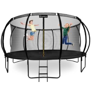 Trampoline noir 487 cm