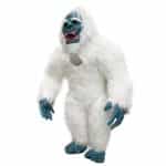 main-image-6