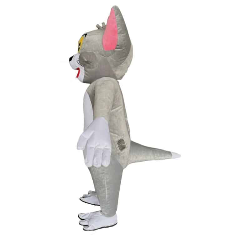 main-image-7