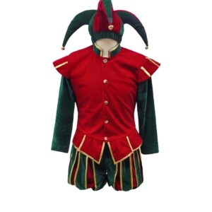 Costume bouffon du roi noël