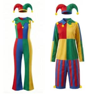 Costume fou du roi multicolore