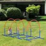 Kit de 4 arceaux d’agility pour chien