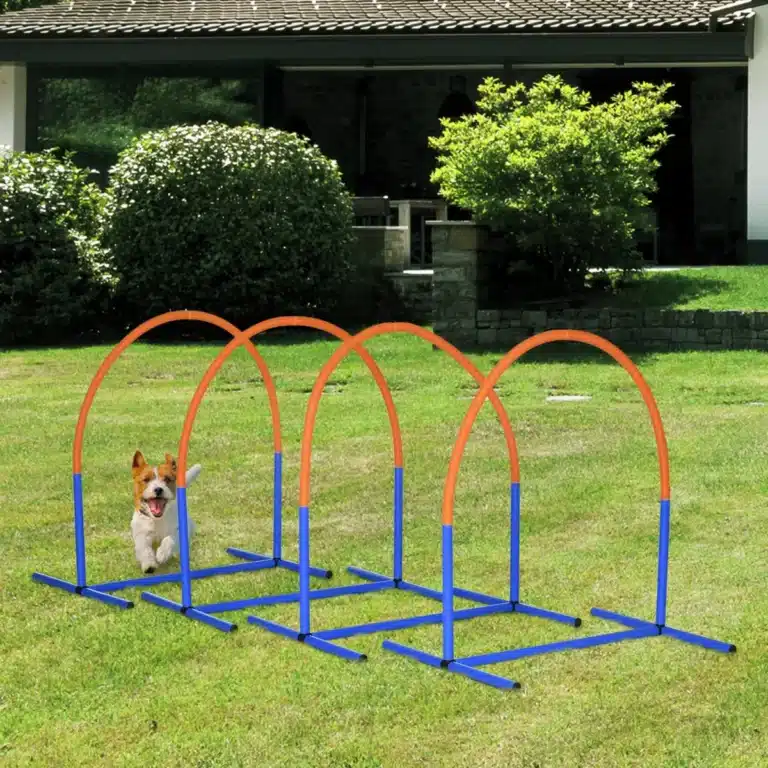 Kit de 4 arceaux d’agility pour chien